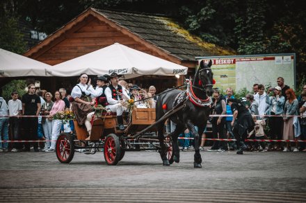 Dożynki 2025 fot. Daniel Franek